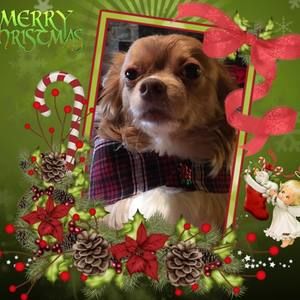 Meet your Posher, Gail